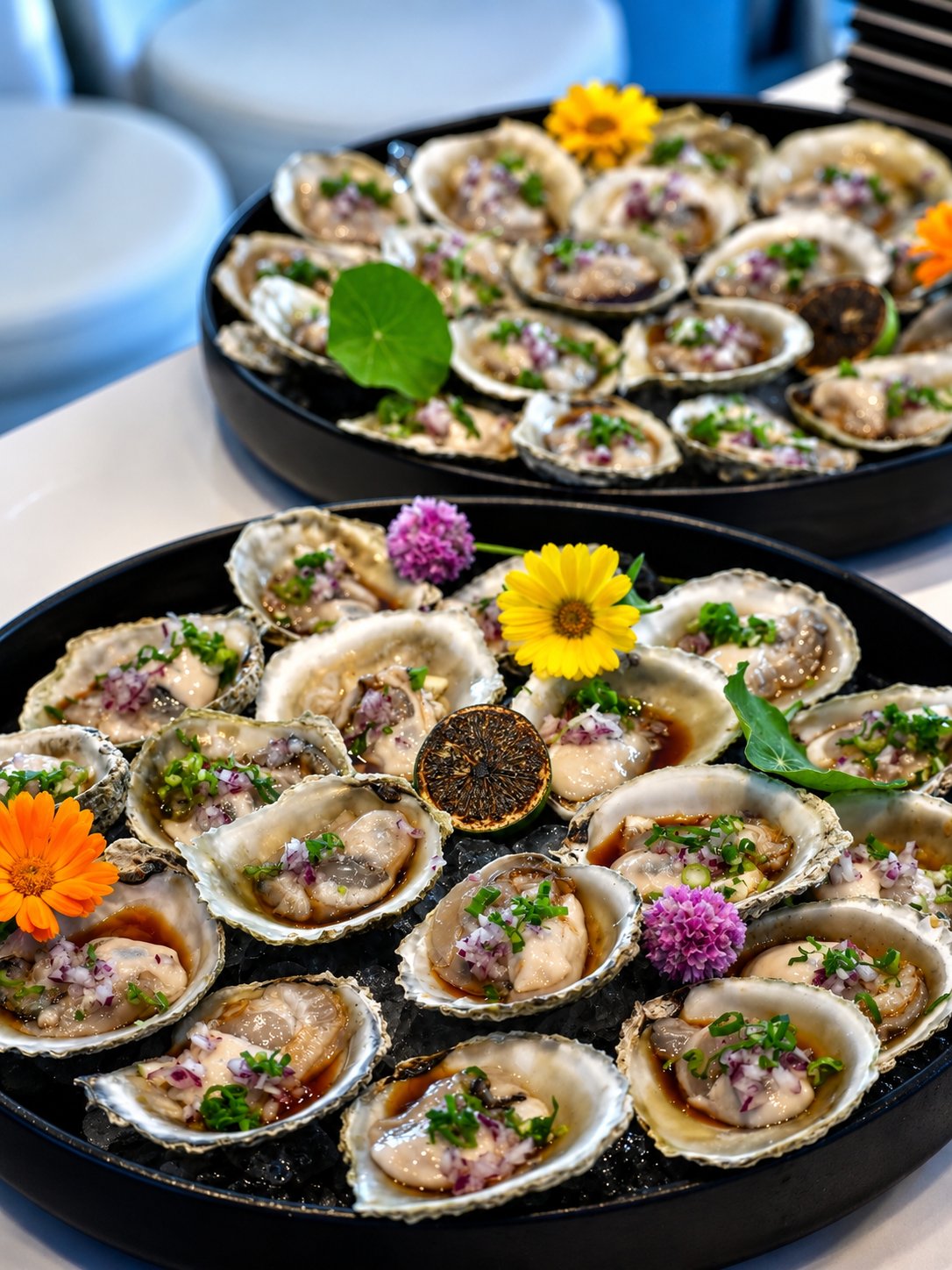 Fresh oysters arranged with flowers and citrus
